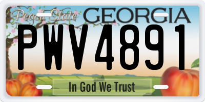GA license plate PWV4891