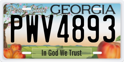 GA license plate PWV4893