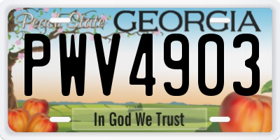 GA license plate PWV4903