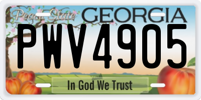GA license plate PWV4905
