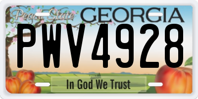 GA license plate PWV4928