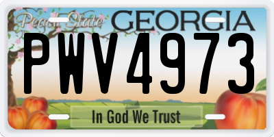 GA license plate PWV4973