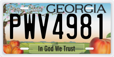 GA license plate PWV4981