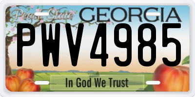 GA license plate PWV4985