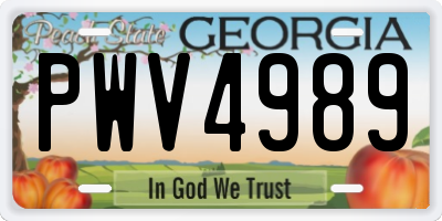 GA license plate PWV4989