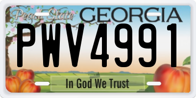 GA license plate PWV4991