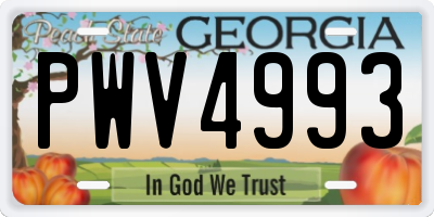 GA license plate PWV4993