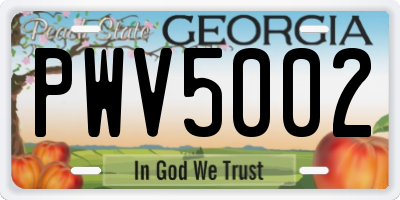 GA license plate PWV5002