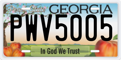 GA license plate PWV5005