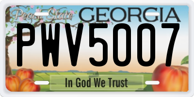GA license plate PWV5007