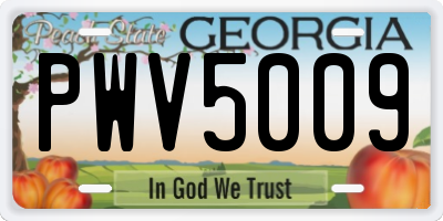 GA license plate PWV5009