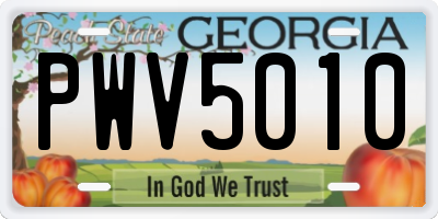 GA license plate PWV5010