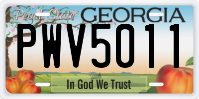 GA license plate PWV5011