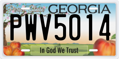 GA license plate PWV5014