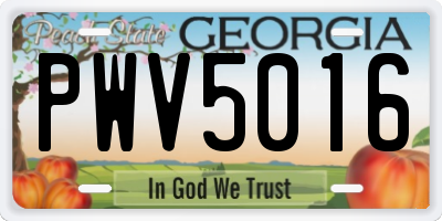 GA license plate PWV5016