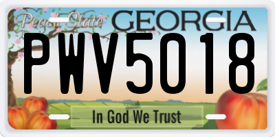 GA license plate PWV5018