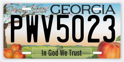 GA license plate PWV5023