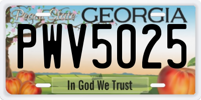GA license plate PWV5025