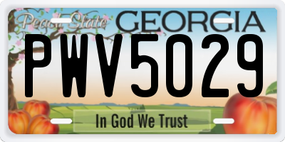 GA license plate PWV5029