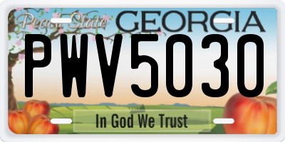 GA license plate PWV5030