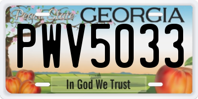 GA license plate PWV5033