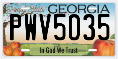 GA license plate PWV5035