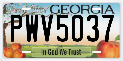 GA license plate PWV5037