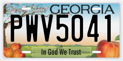 GA license plate PWV5041