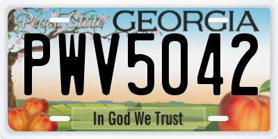GA license plate PWV5042