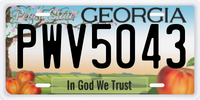 GA license plate PWV5043