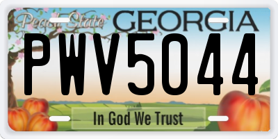 GA license plate PWV5044
