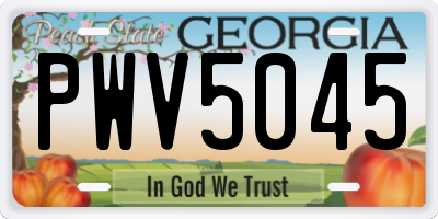 GA license plate PWV5045