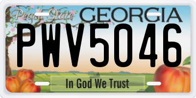 GA license plate PWV5046