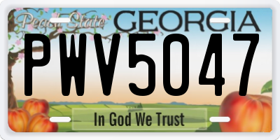 GA license plate PWV5047