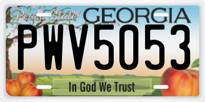 GA license plate PWV5053