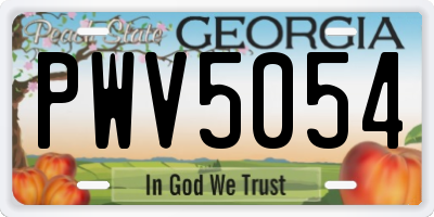 GA license plate PWV5054