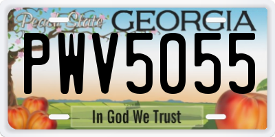 GA license plate PWV5055
