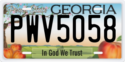 GA license plate PWV5058