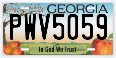 GA license plate PWV5059