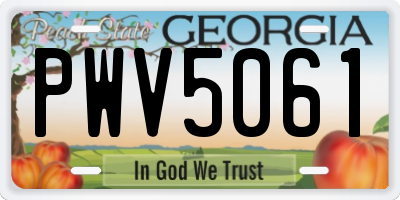 GA license plate PWV5061