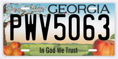 GA license plate PWV5063
