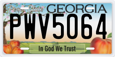 GA license plate PWV5064