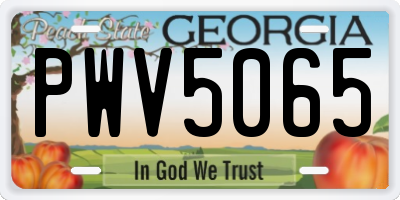 GA license plate PWV5065