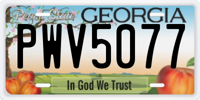GA license plate PWV5077