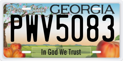 GA license plate PWV5083