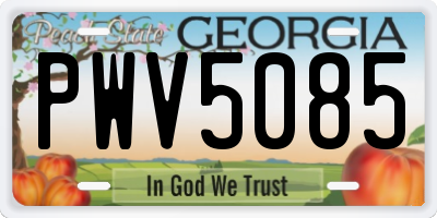 GA license plate PWV5085