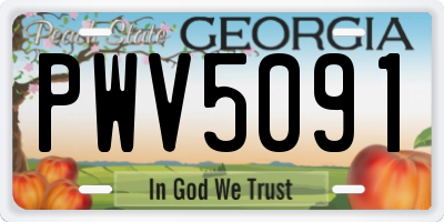 GA license plate PWV5091