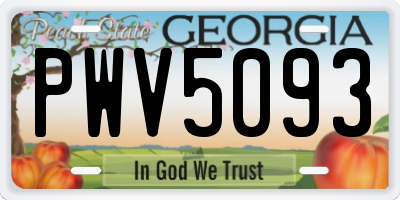 GA license plate PWV5093