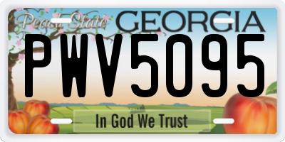 GA license plate PWV5095