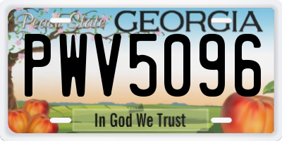 GA license plate PWV5096